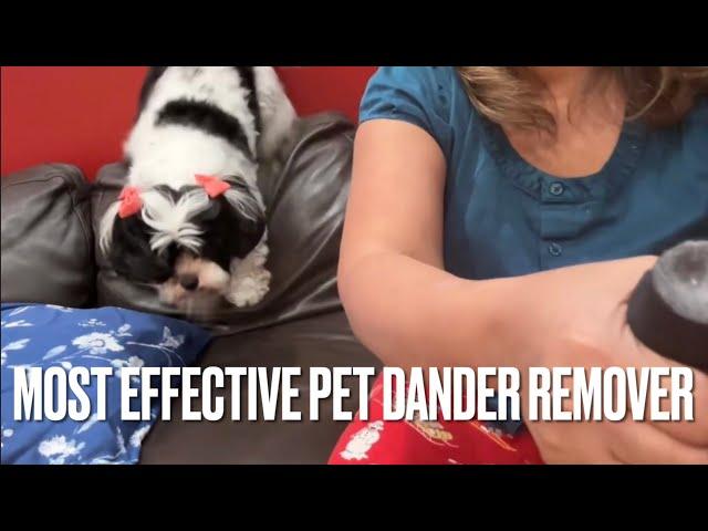 Most Effective Dust and Dander Remover for Dogs, Cats, Birds l Triggers of Allergic Reaction