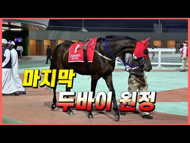 글로벌히트의 마지막 두바이 경주! 알막툼 클래식(G2) H/L