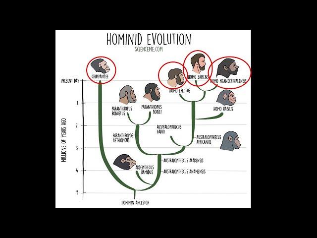 Bantu Expansion Lie Part 5 - Haplogroups