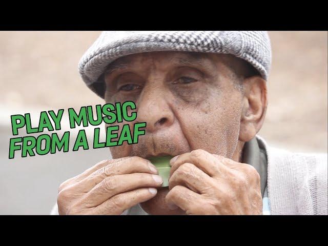 How to play music from a leaf