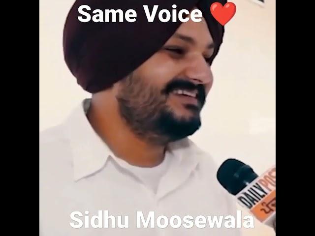 Sidhu Moosewala Duplicate Same Voice ️#295#sidhumoosewala#shorts