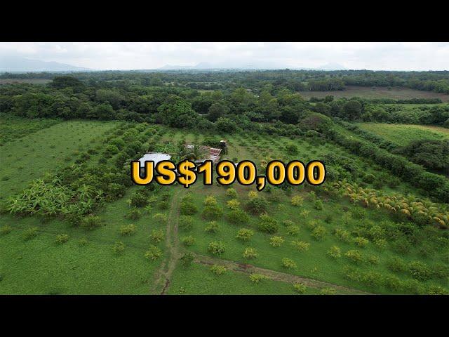 VENTA de FINCA $190,000 TERRENO de 6.5 MANZANAS | LEÓN, NICARAGUA