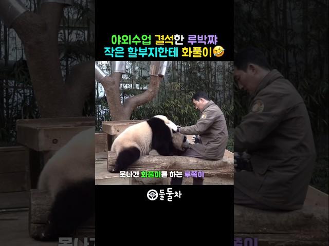 야외수업 빼먹고 앙탈은ㅋㅋㅋㅋㅋ루이바오 못말려