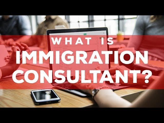 What is Immigration Consultant?