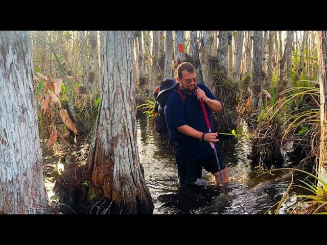 My Scariest Solo Hiking Experience: Escaping a Florida Swamp