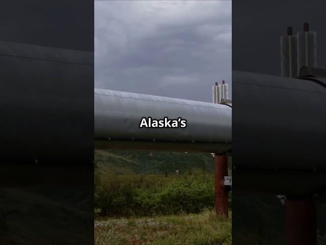 Worley Joins $39B Alaska LNG Pipeline Project | SUPER METAL PRICE