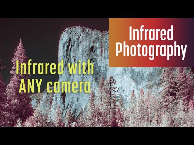 Shoot & Edit Infrared Photos with ANY Camera