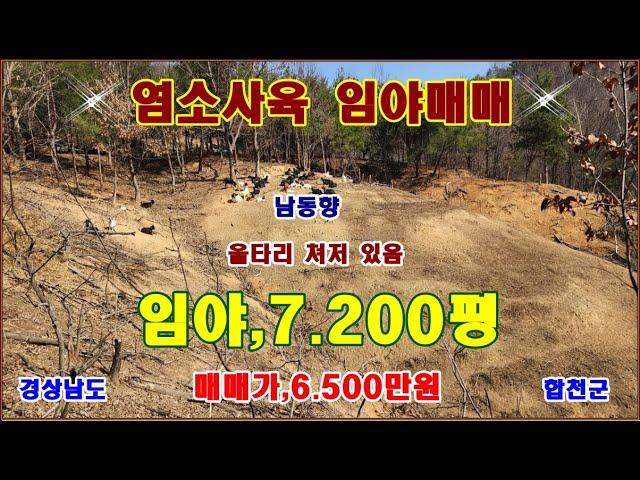 물번,708번) 급매매,염소사육 임야7.200평 대폭 인하6.500만원에 매매합니다ㅡ 경사도15~20도 차량진입, 울타리 설치, 물탱크1개 옹림지역,임업용산지,남동향입니다,