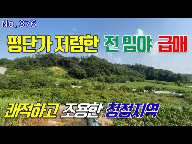 세종시 토지 임야 매매 쾌적하고 조용한 청정지역 연동면 2차선 도로 인근 노송리 평단가 저렴한 땅 급매