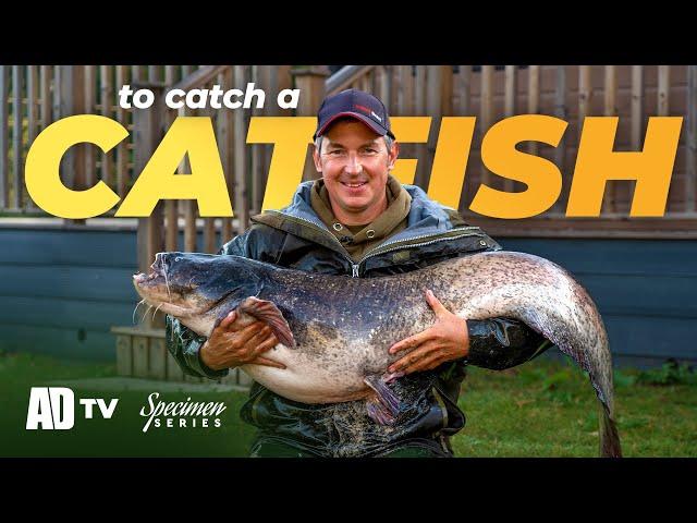 Catfish Fishing - Specimen Series - Phil Spinks