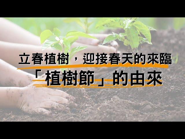 立春植樹，迎接春天的來臨—來了解植樹節的由來吧！