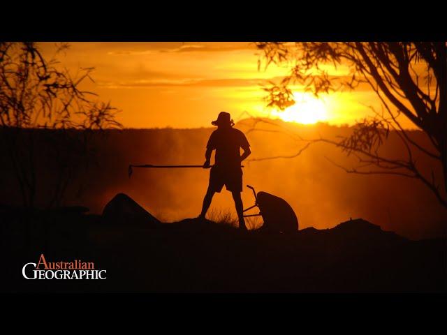 The Hunt for Australia’s Lost Dinosaurs