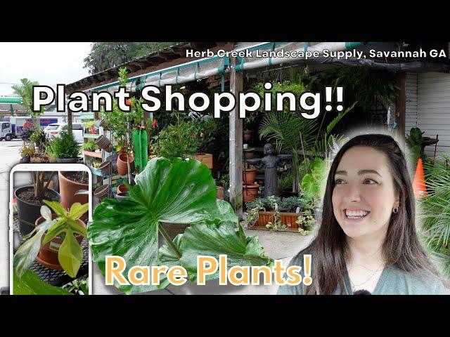 RARE Plant Shopping!! | Herb Creek Landscape Supply - Savannah GA