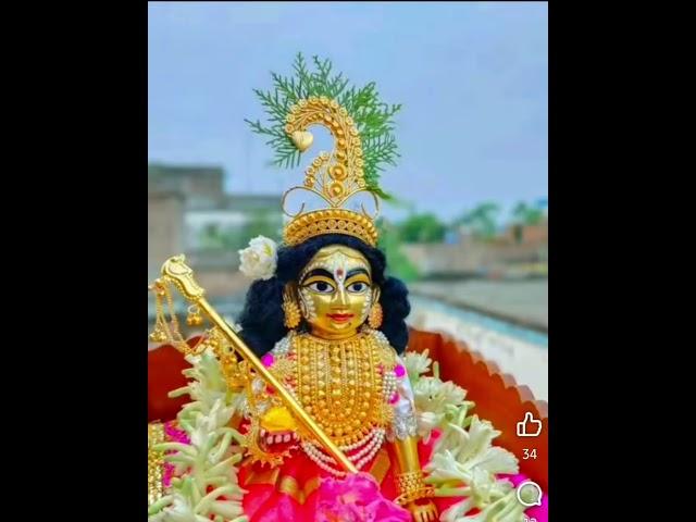 jai Gopal Krishna #shorts #bhakti #shortvideo #Krishna #gopalpuja