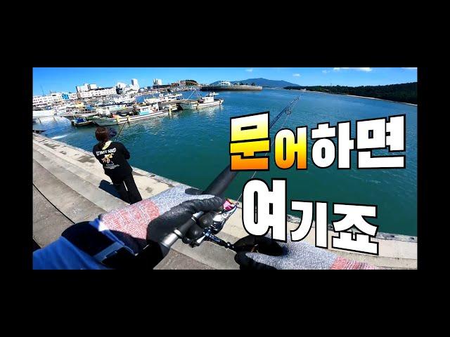 국민문어낚시포인트는여기죠-고흥녹동항(23.8.3)