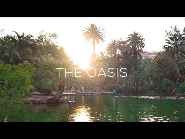 THE OASIS | A cinematic sequence | Sony A7S III + 50mm