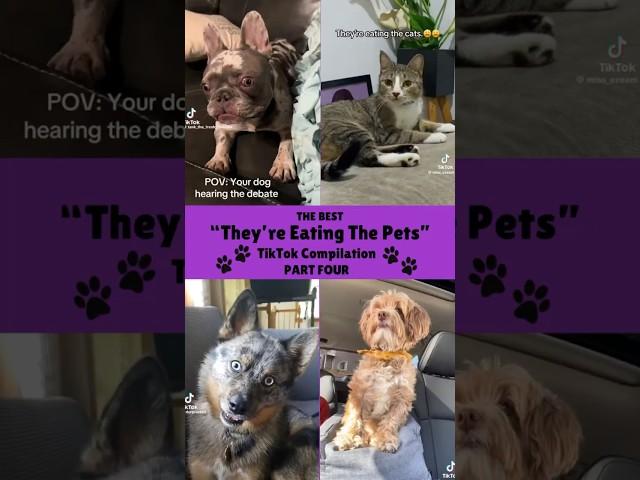 The Best “They’re Eating The Pets” TikToks Compilation🩷 PART FOUR