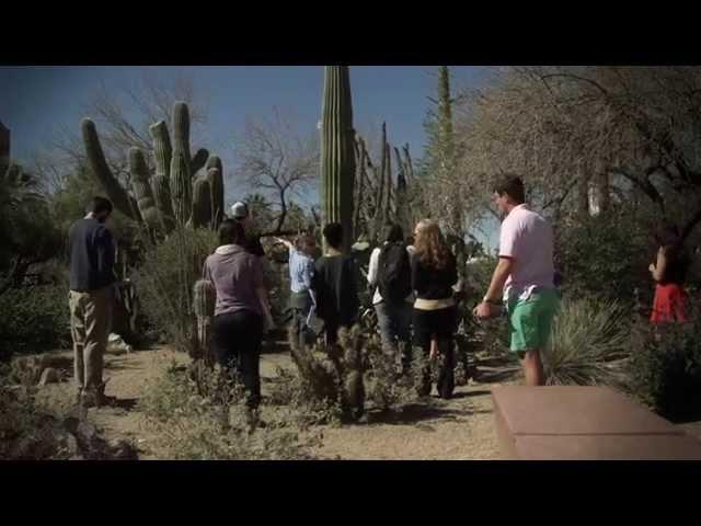 Excellence at the University of Arizona