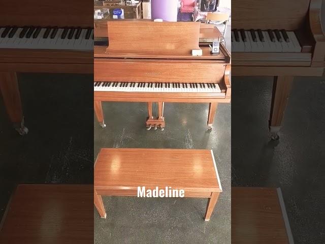 Come have a cup and listen to Madeline play!