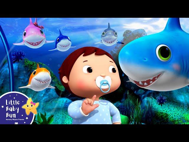 Baby Shark Dance! | Move with Little Baby Bum | Nursery Rhymes & Baby Songs  ABCs and 123s