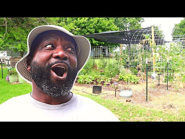 FULL Kitchen Garden Tour | June 2022