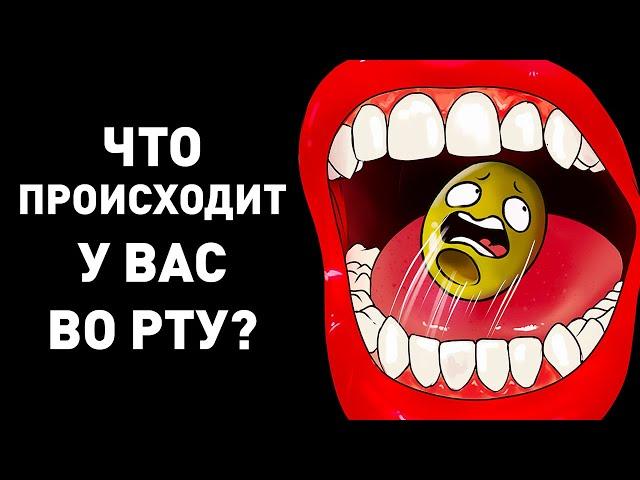 Путешествие к истокам вкуса