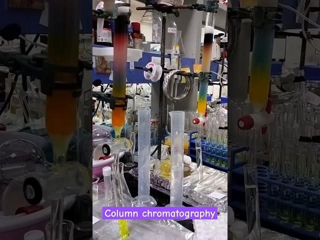 Column chromatography #research #lab #chemistry #science #innovation #phd #creativity #chemexplore