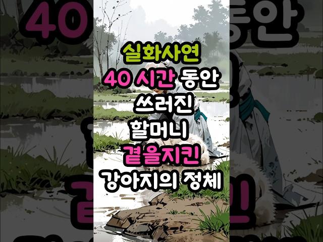 실화감동사연  40시간동안 쓰러진 할머니 곁을 지킨 강아지의 정체