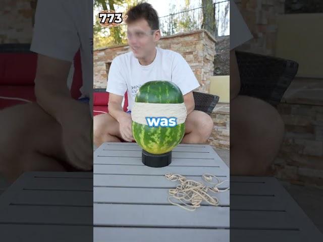 How many rubber bands does it take to explode a watermelon?