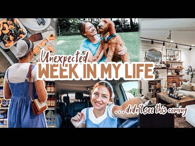 A WEEK IN MY LIFE | so many updates, nursing friendly dresses, a tragedy + a new puppy?