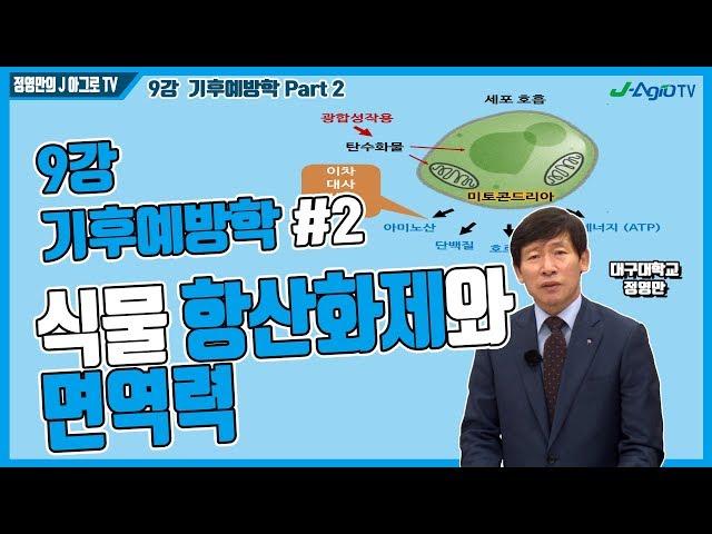 [정영만의 J 아그로TV] 식물 항산화제와 면역력 (9강 기후예방학 Part 2)