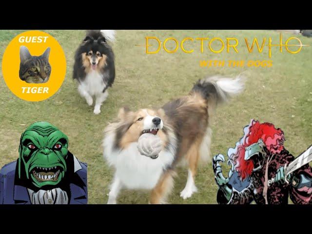 The Yorkshire Time Lord - Doctor Who With The Dogs: Dogbolter