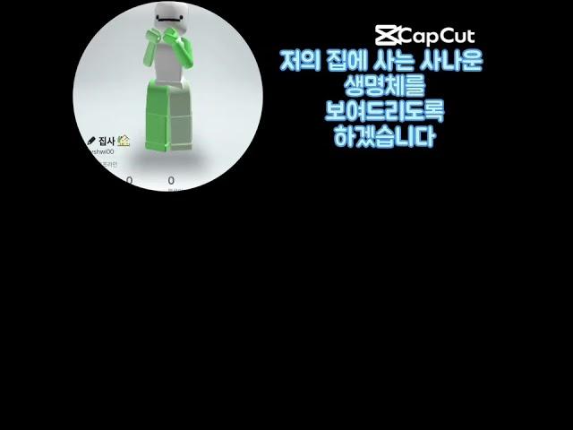안냥이:우리집에사는사나운생물