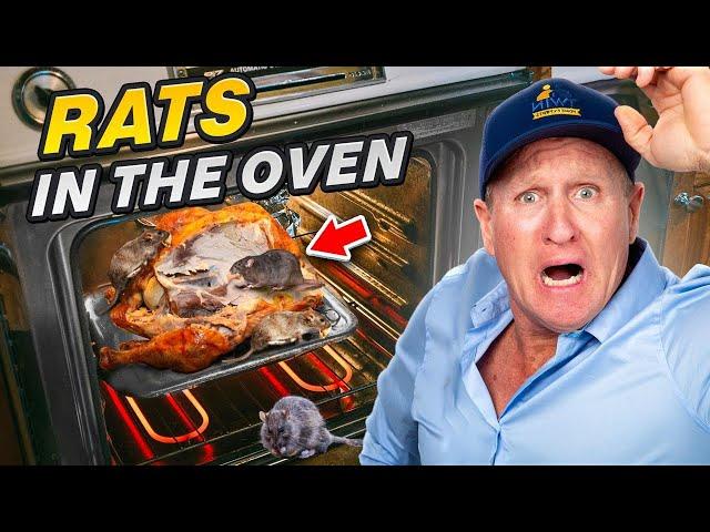 The RATS were eating Turkey from the oven!