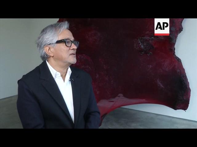 Artist Anish Kapoor hits out at Brexit