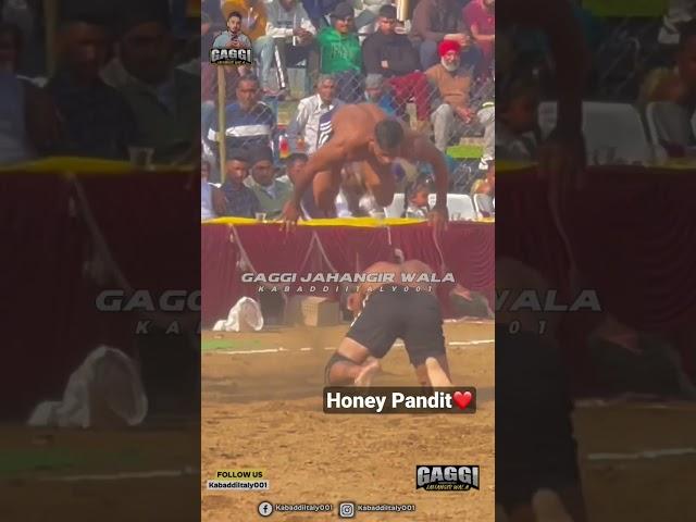 ️ honey pandit ️ || Honey Aya Hoya || #kabbadi #reels #viral #youtubeshorts #shorts