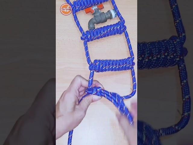 How to tie Knots Rope, DIY Knot Tutorial #diy #viral #shorts ep2808