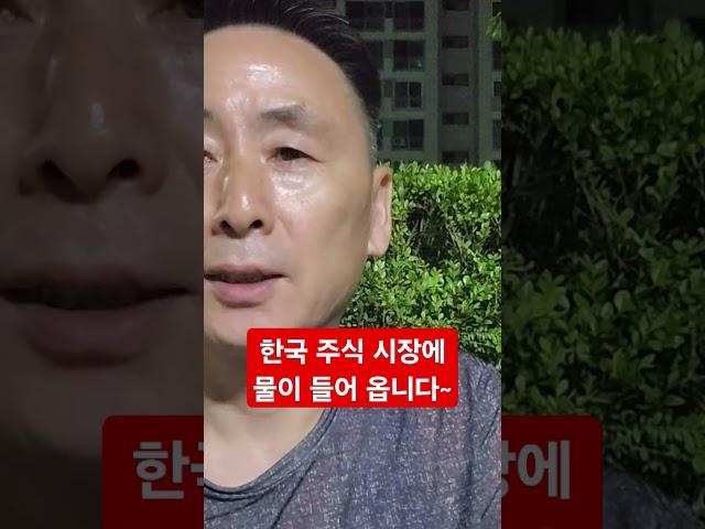 주식계에 깡통 전문가  생콩이야기 