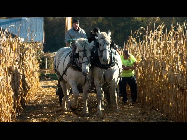 Visit Indiana - Indiana Harvest