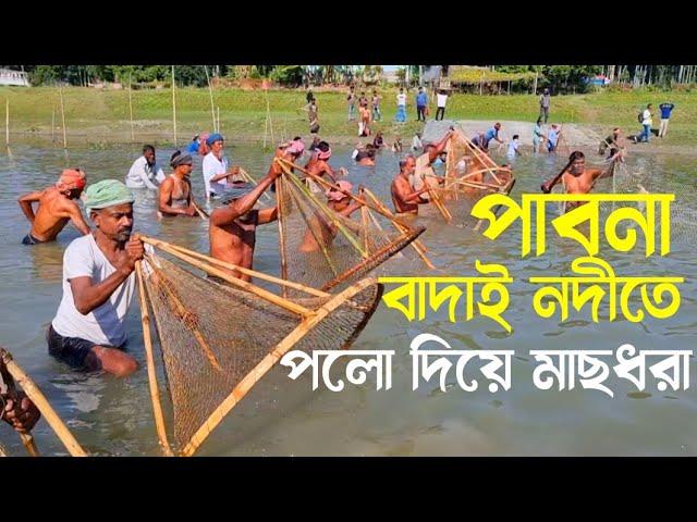 পাবনা বাদাই নদীতে বাউথ উৎসব | Best video of Pabna Badai river fishing with polo | Fishing BD Fast Tv