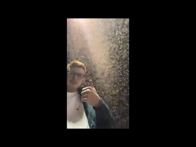 Moth swarm in Kamloops