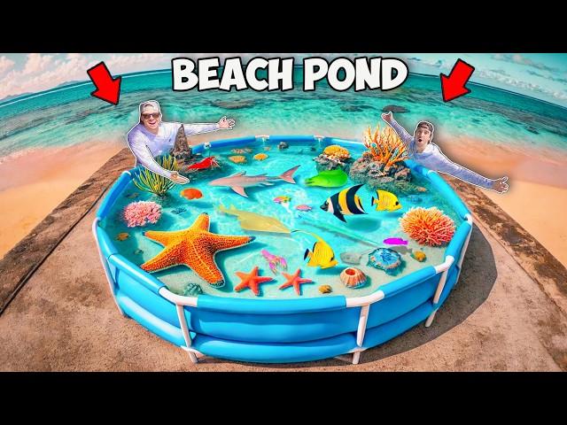 We Built a Tide Pool Saltwater Pond with Sea Creatures Found In Beach Rocks!