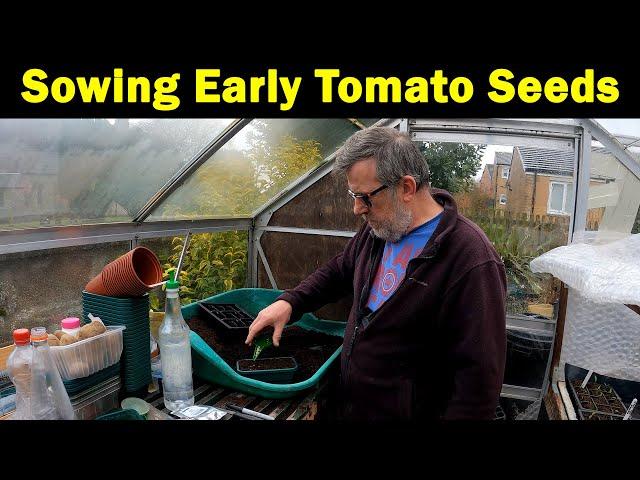 Sowing Tomatoes | Early Tomatoes | How to Sow | Crimson Crush | Green Side Up