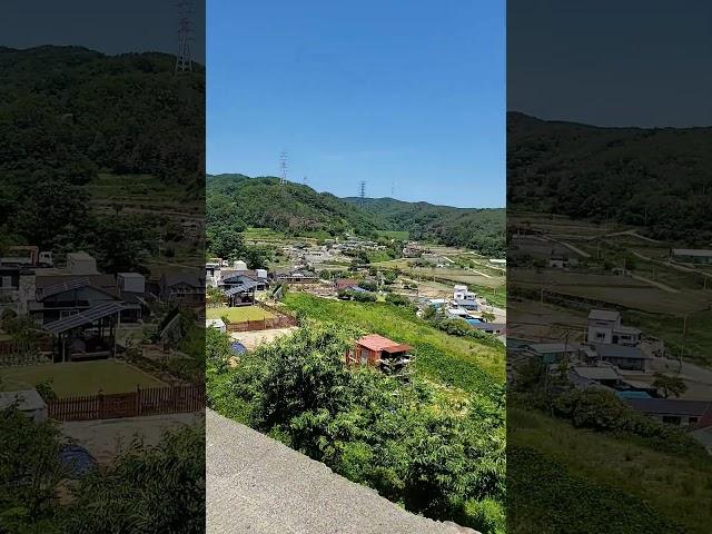 [최부자의 전국 임장기][발품] 경상북도 경주시 양남면 상계리 토지, 주변 #shorts