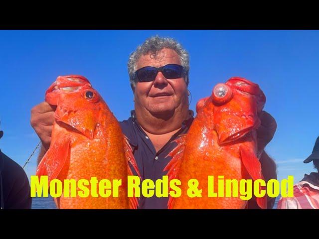 Huge Rock Fish & Lingcod on the Stardust