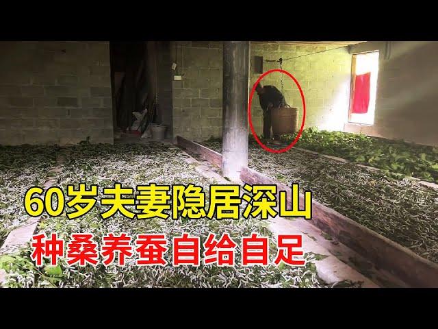 60岁夫妻隐居广西深山，种桑养蚕骑马，是多少人羡慕的生活【乡村阿泰】