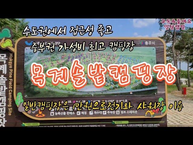 중부권 가성비 최고 #충주목계솔밭캠핑장/1만원 입장료로 전기와 샤워장 무료이용