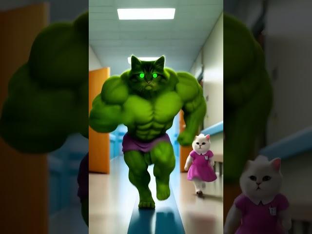 The Hulk Kitten : A Heroic Fall into Mom’s Arms#cat #cattales #catfunny #catshorts #funny #catvid