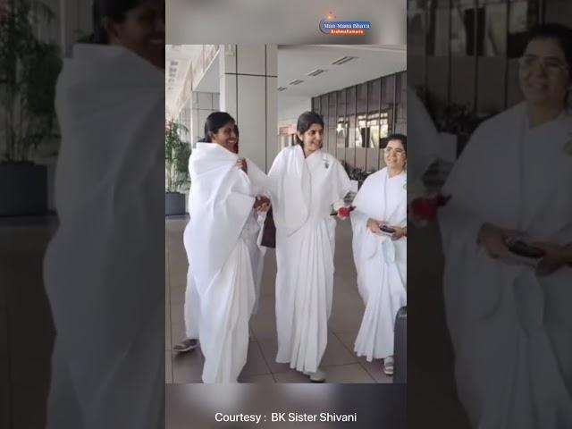 Divine moments When Two Angels Meet@bkshivani @bkdrdamini #shorts #brahmakumaris