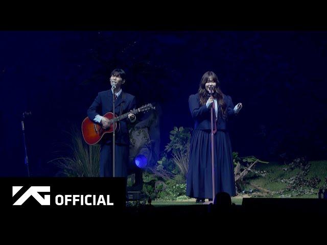 AKMU - ‘물 만난 물고기’ LIVE CLIP l 2024 AKMU 10주년 콘서트 [10VE]